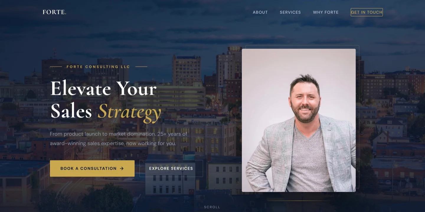 Forte Consulting project preview