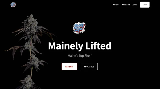 Mainely Lifted website preview